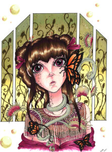 Phoebe Trap Illustration