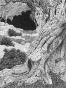 Reference Drawing Timelapse: Knarled Tree